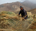 Any Hope for Afghanistan’s Future Economy? 